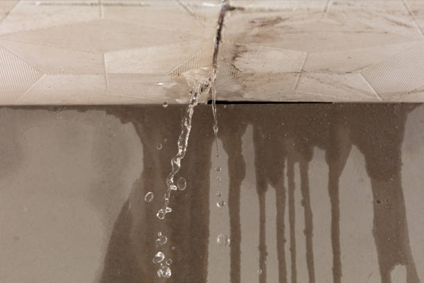 Professional Structural Drying technician working in Franklinton, NC